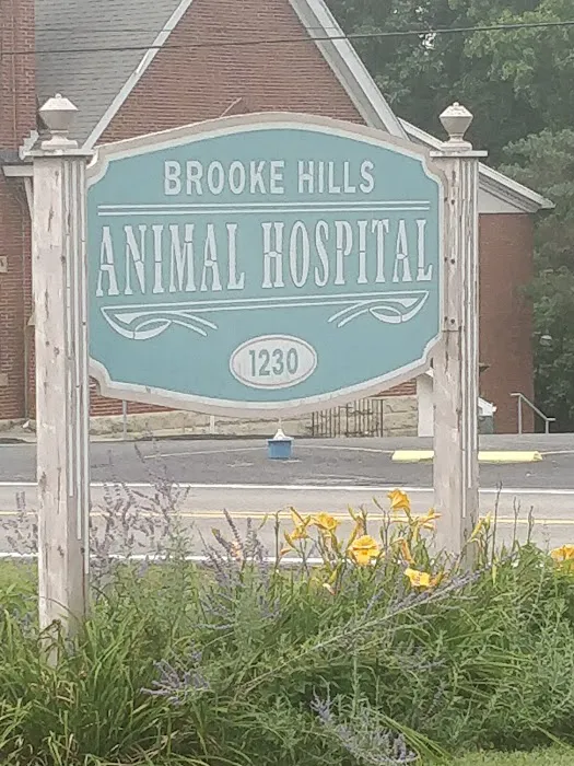 Brooke Hills Animal Hospital PLLC Picture 8
