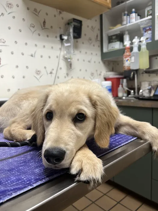 Shinnecock Animal Hospital Picture 1