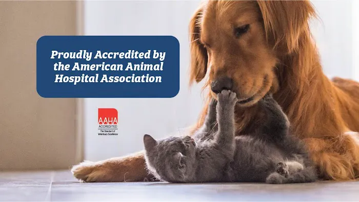 Shinnecock Animal Hospital Picture 3