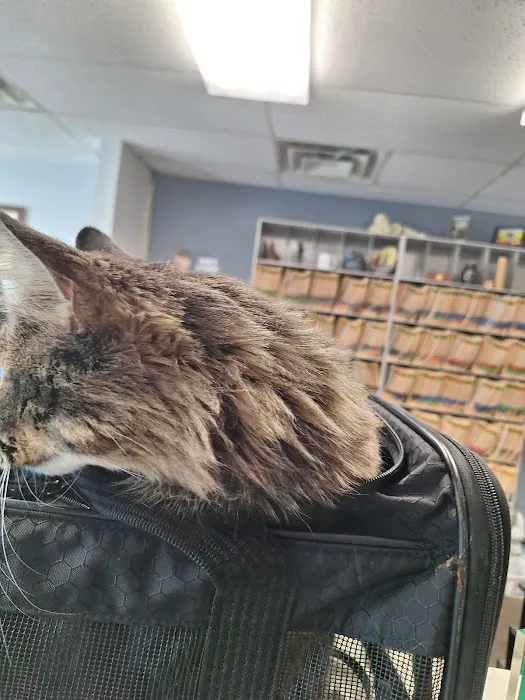 Dr. Mike's Furry Friends Small Animal Hospital Picture 1