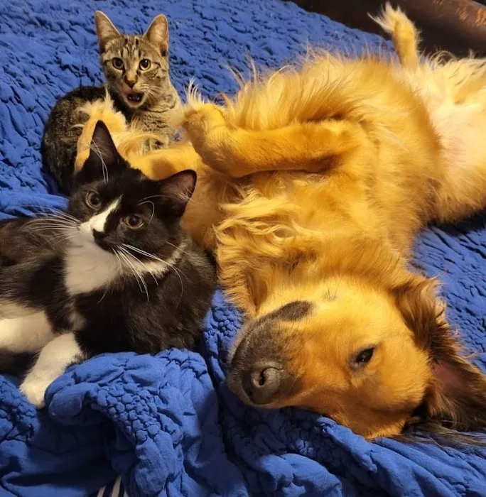 Gerber Small Animal Hospital Picture 4