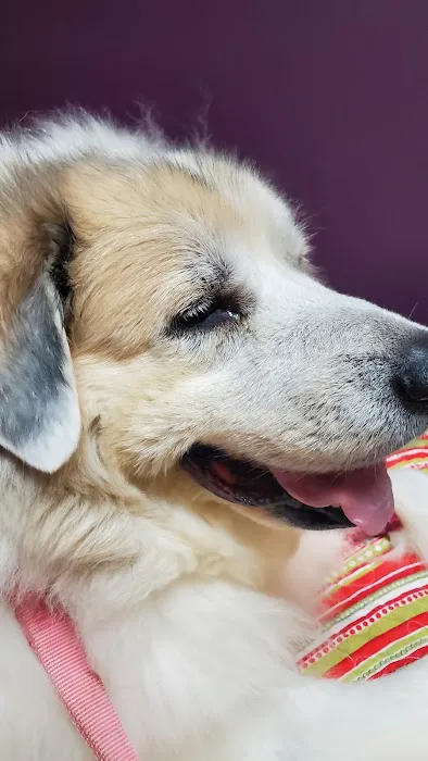 Gerber Small Animal Hospital Picture 8