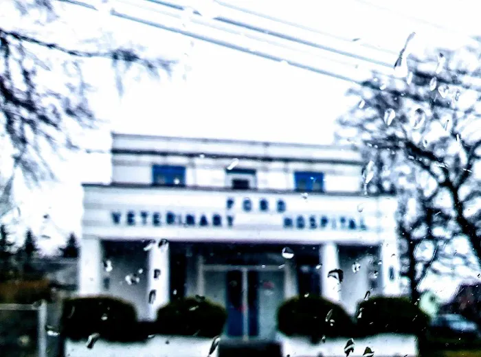 Ford Veterinary Associates PC Picture 10