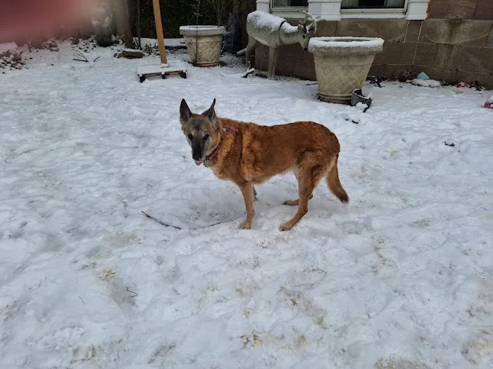 Grand Island Animal Hospital Picture 7