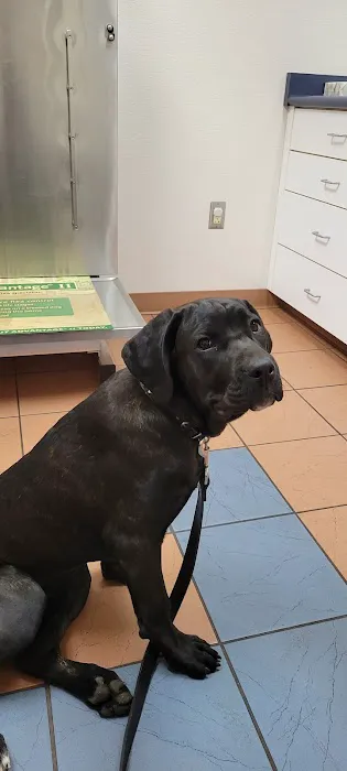 Grand Island Animal Hospital Picture 8