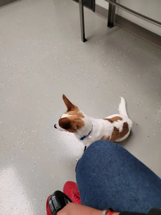 West Side Pet Clinic Picture 5