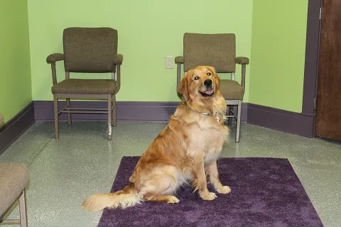 West Side Pet Clinic Picture 7