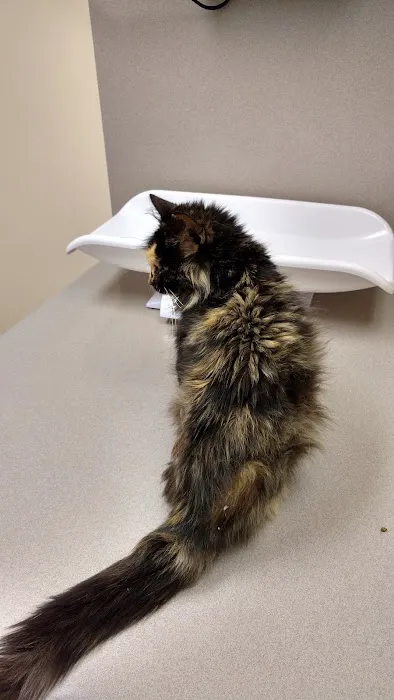 Twinbrook Veterinary Hospital Picture 6