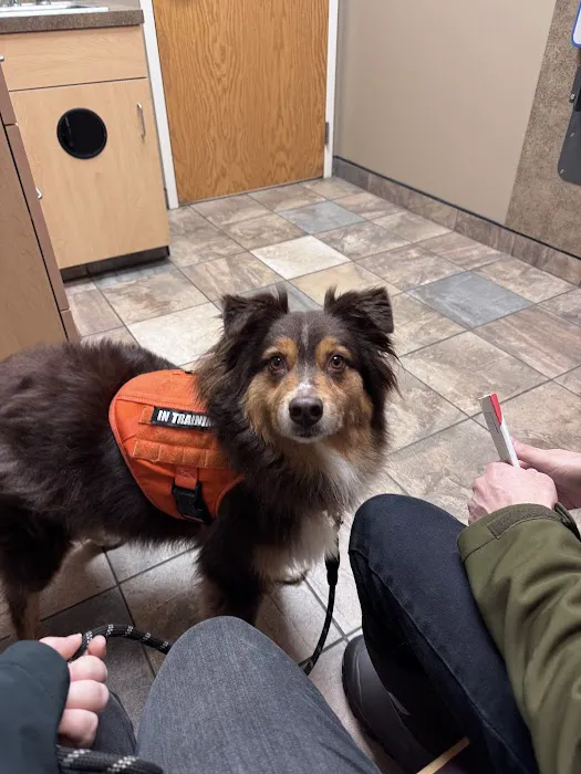 McKean Veterinary Hospital Picture 4