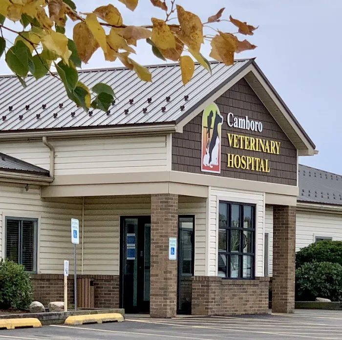 Camboro Veterinary Hospital Picture 2