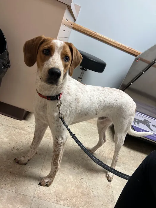 Camboro Veterinary Hospital Picture 8