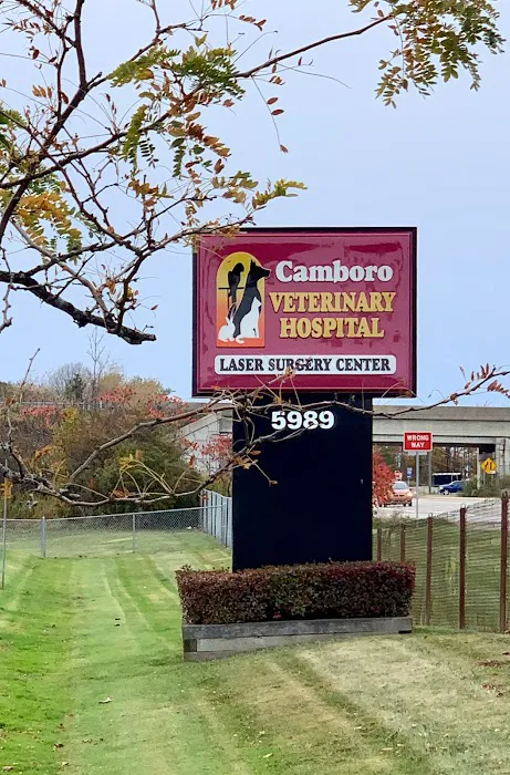 Camboro Veterinary Hospital Picture 9