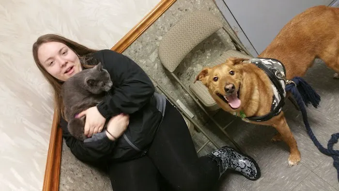 Summit Pet Hospital & Care Center Picture 8