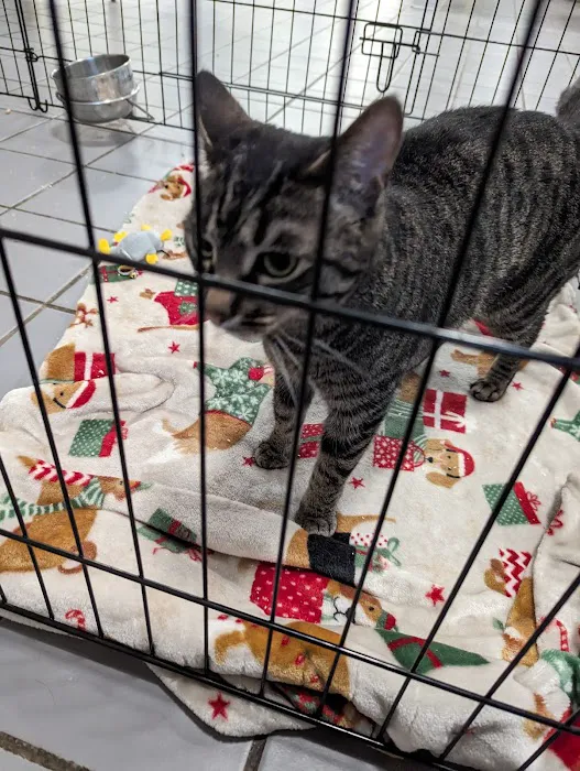 Summit Pet Hospital & Care Center Picture 10