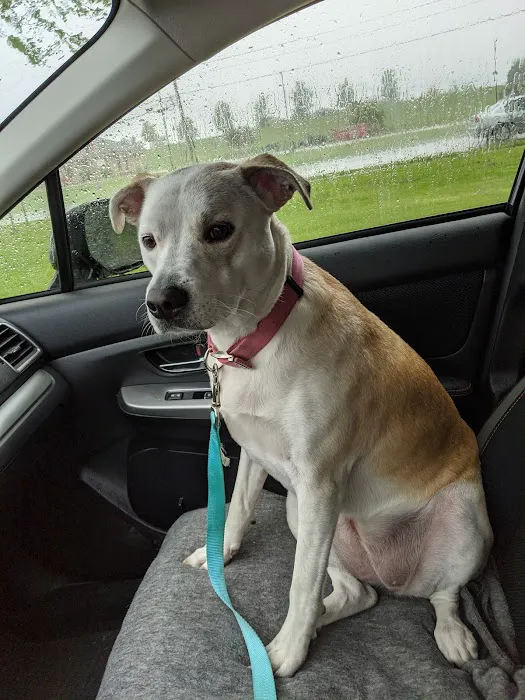 Erie Humane Society Pet Wellness Clinic Picture 2