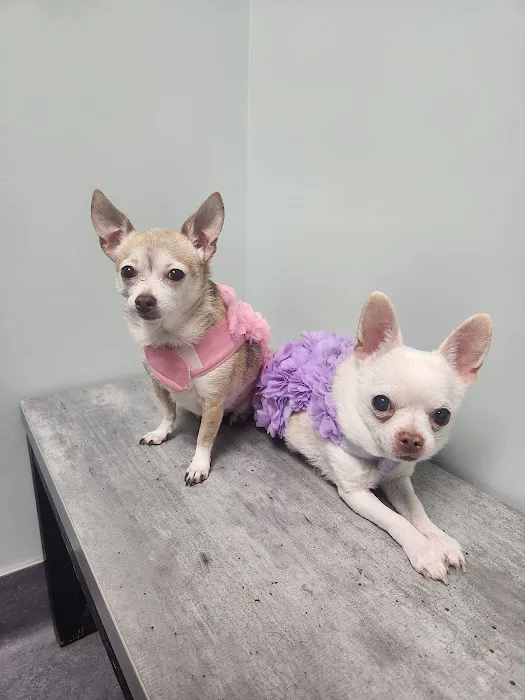 Glenwood Pet Hospital Picture 6
