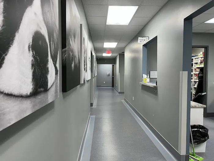 Glenwood Pet Hospital Picture 10