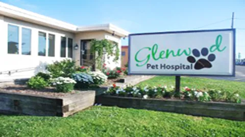 Glenwood Pet Hospital: Dr. P.J. Polumbo Picture 3