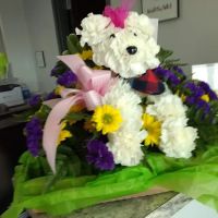 Glenwood Pet Hospital: Dr. P.J. Polumbo ico