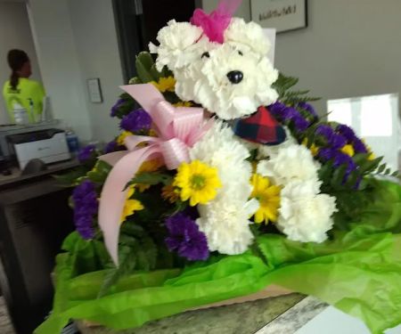 Glenwood Pet Hospital: Dr. P.J. Polumbo