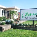 Glenwood Pet Hospital: Dr. Erin Gorney
