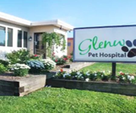 Glenwood Pet Hospital: Dr. Erin Gorney
