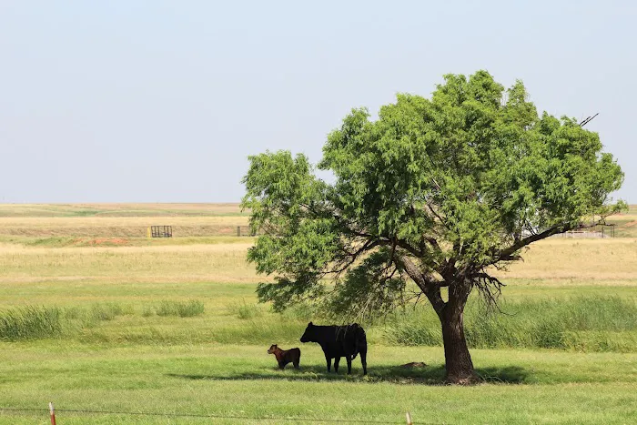Pro Livestock Solutions Picture 1