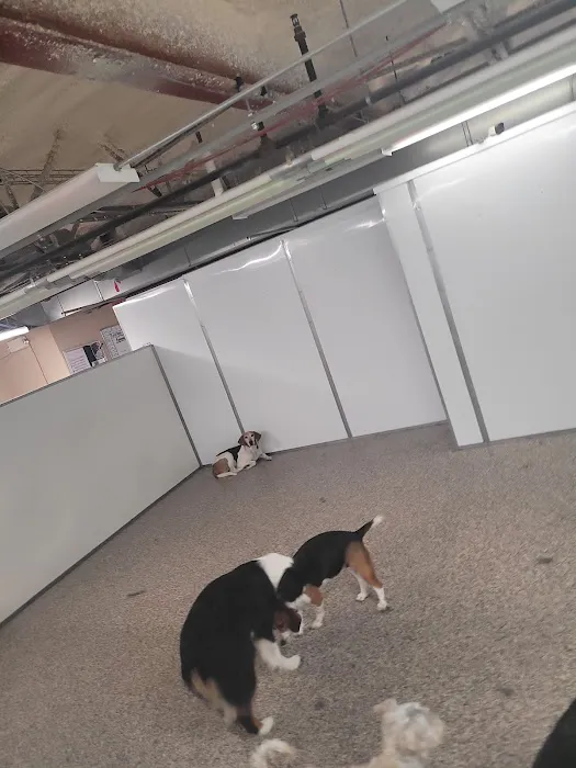 Animal Medical Center of the Upper Valley Picture 8