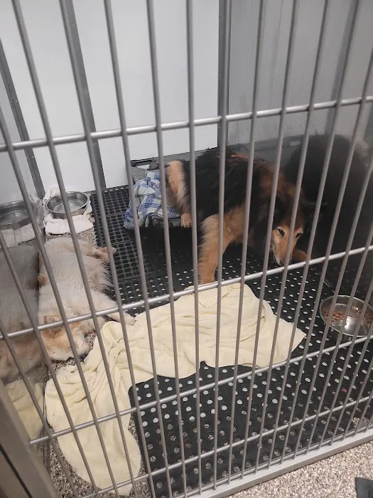 Animal Medical Center of the Upper Valley Picture 10
