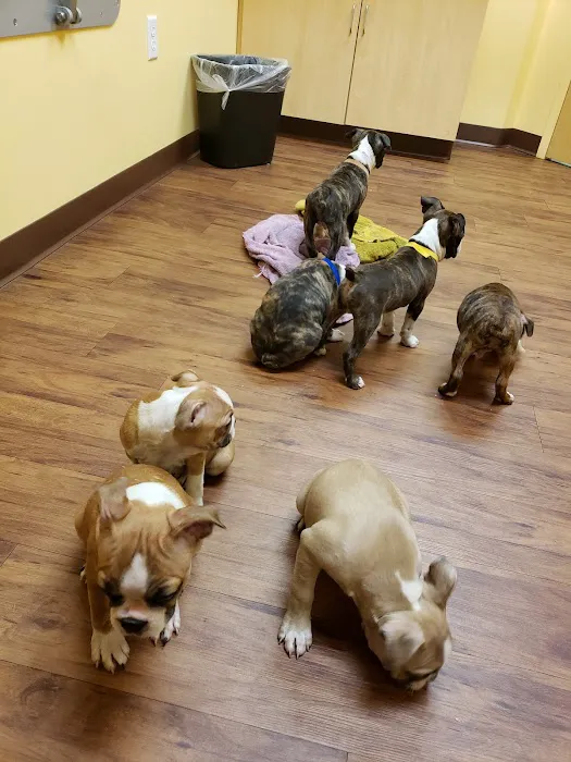 Randolph Regional Veterinary Hospital Picture 1