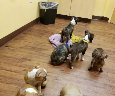 Randolph Regional Veterinary Hospital