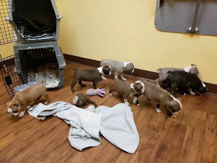 Randolph Regional Veterinary Hospital Picture 8