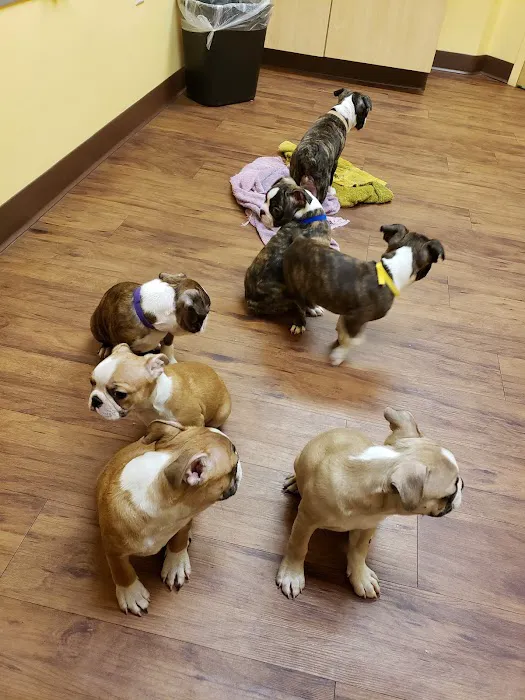 Randolph Regional Veterinary Hospital Picture 4