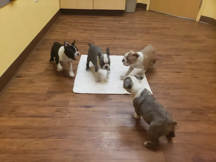 Randolph Regional Veterinary Hospital Picture 10