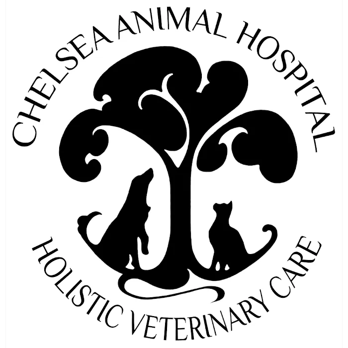 Chelsea Animal Hospital Picture 6