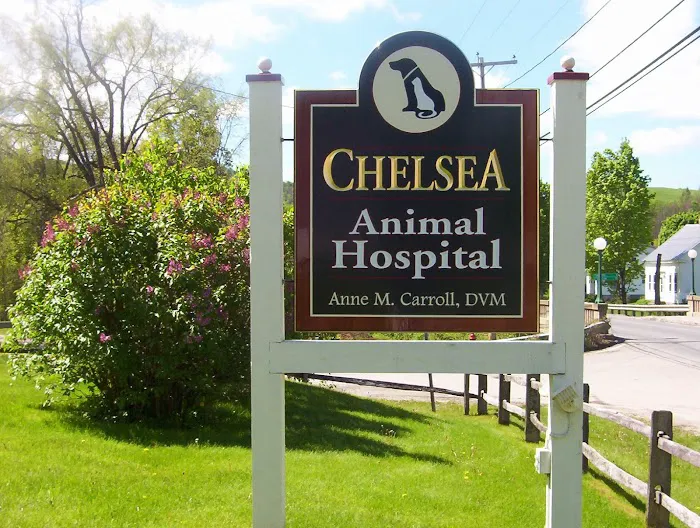 Chelsea Animal Hospital Picture 1