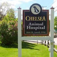 Chelsea Animal Hospital ico