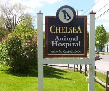 Chelsea Animal Hospital