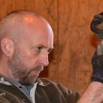 MacPhail Equine Dentistry
