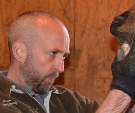 MacPhail Equine Dentistry