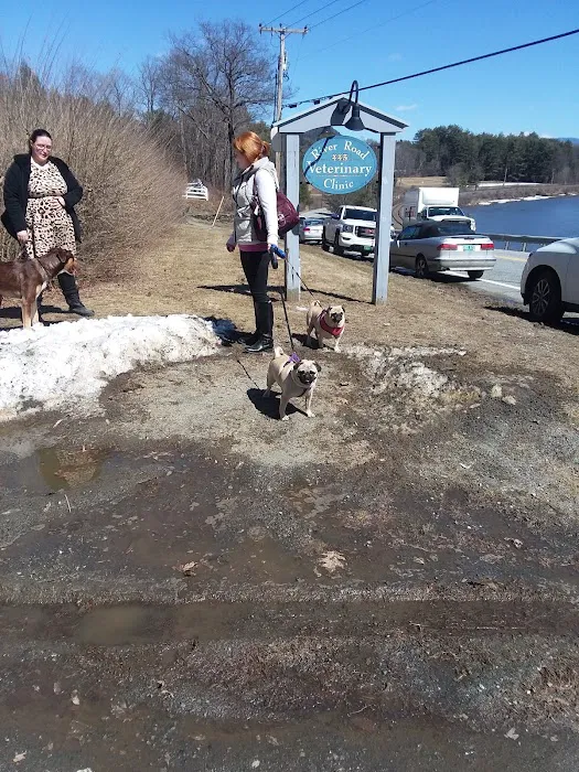 River Road Veterinary Clinic Picture 2