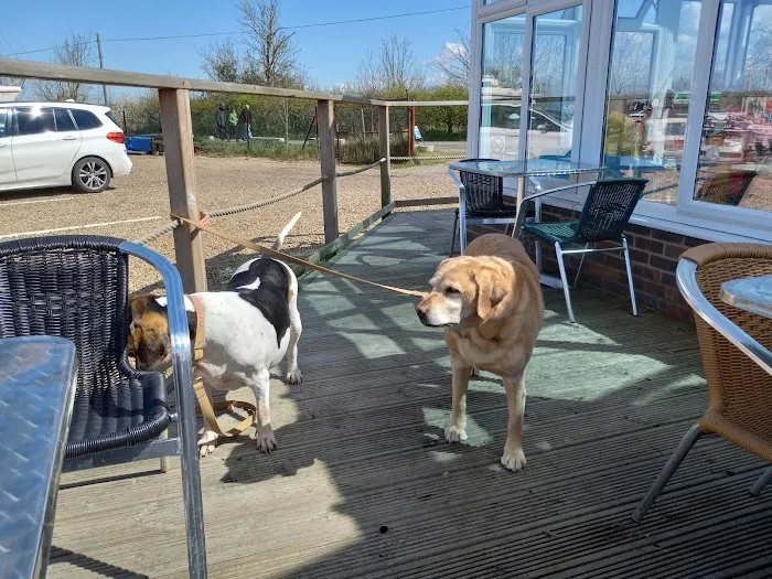 River Road Veterinary Clinic Picture 8