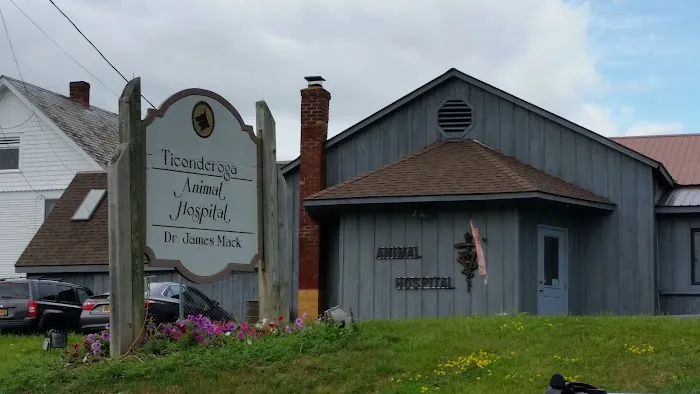 Ticonderoga Animal Hospital Picture 1