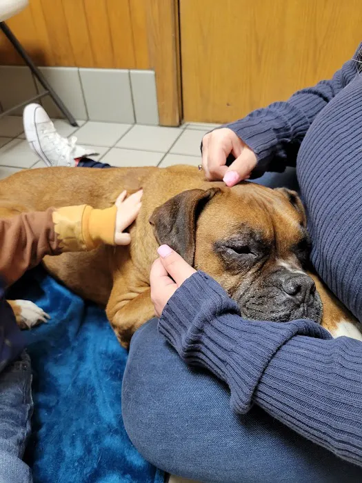 Ticonderoga Animal Hospital Picture 9