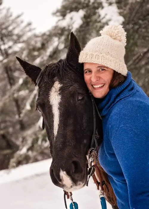 Meadowbrook Equine Picture 1
