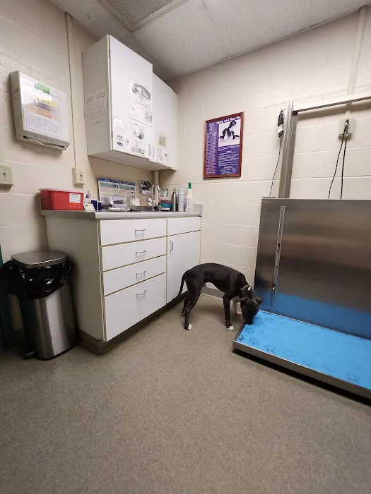 Middlebury Animal Hospital Picture 1