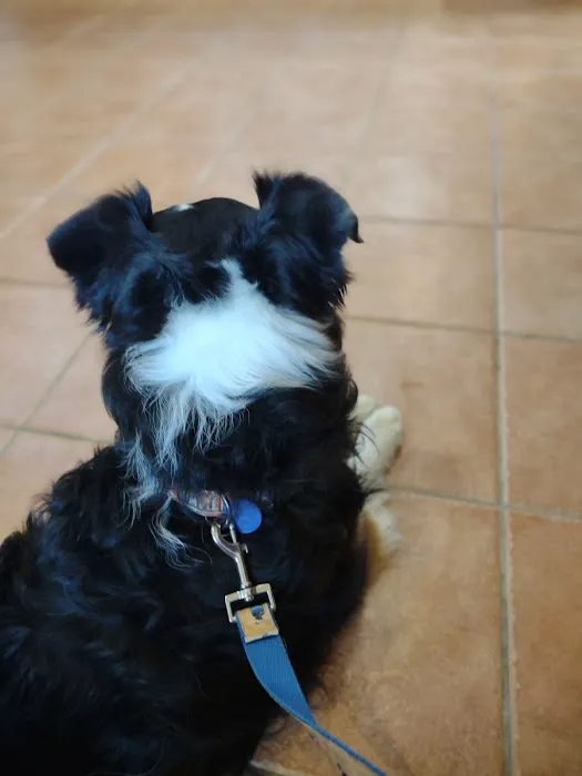 Blackwater Veterinary Services Picture 5