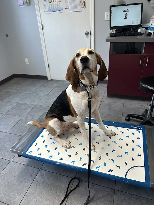 VCA Riverside Veterinary Hospital Picture 5