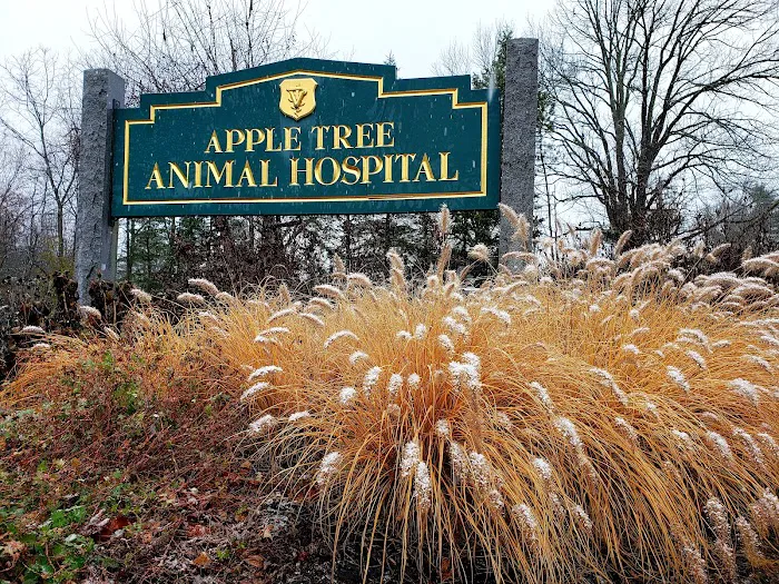 Apple Tree Animal Hospital Picture 10