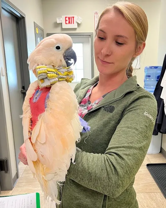 Hopkinton Animal Hospital Picture 2